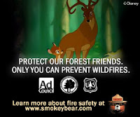 Proteção às Florestas