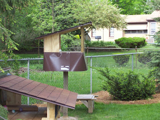 Check It Out The Eastwood Feral Cat Complex Carol S Ferals