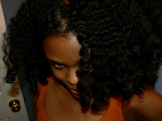 Garnier Fructis Sleek And Shine Conditioner Review Curlynikki