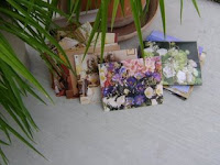 Free Gift Boxes and Envelopes
