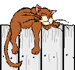 [cat.gif]