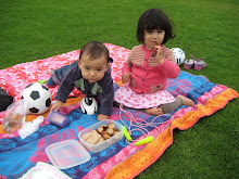 Picnic at the Park