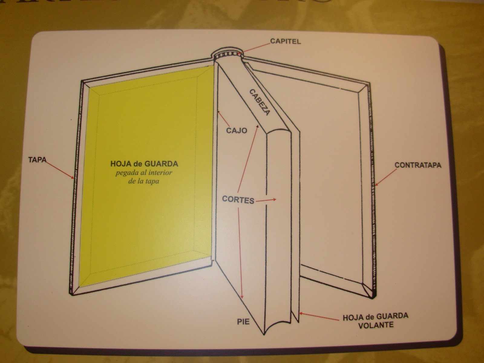 El libro, vocabulario - Coordinadores de Bibliotecas Escolares