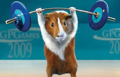 [GUINEA-PIG-WEIGHT-L_786613i.jpg]