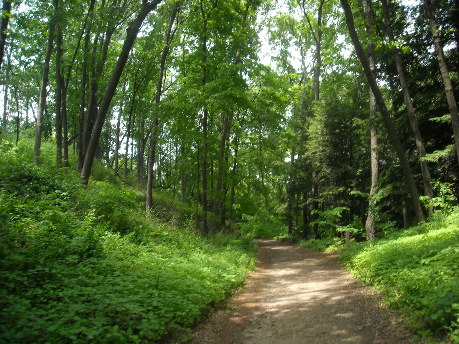 [DSCN0016.JPG]