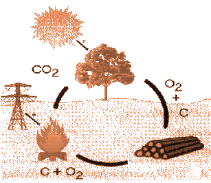 Energia Biomassa