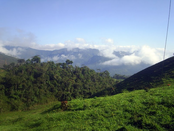 INDO PARA O RIO DO BRAÇO