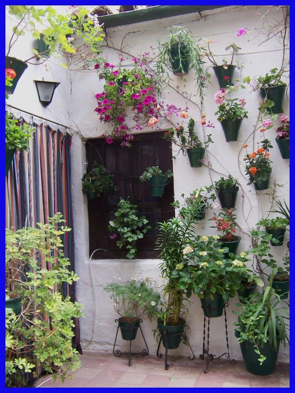 sueños_que_despiertan: Los patios