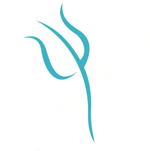 [Promo Psicologia Anilu WEBSITE LOGO.jpg]