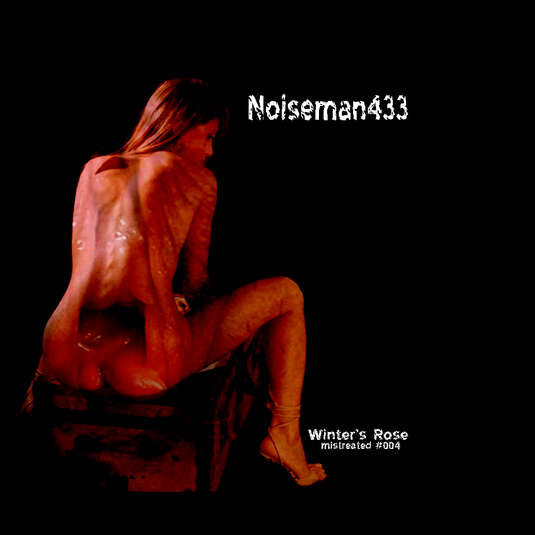 noiseman433mistreated2.gif