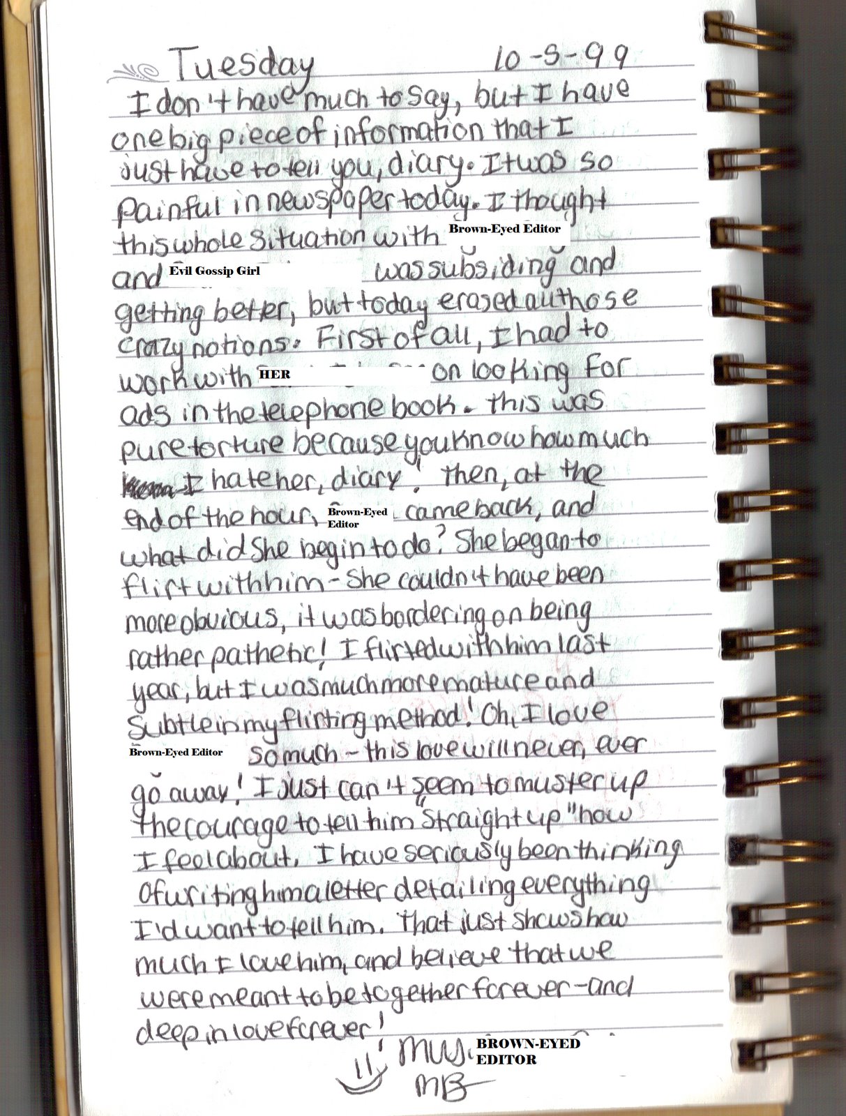 [diary.bmp]