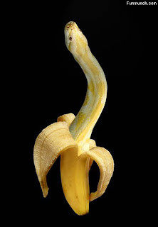 اغرب صور شفتهم في حياتي Banana+Snake