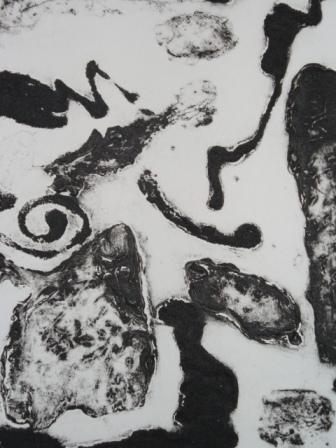 Spirale (particolare)