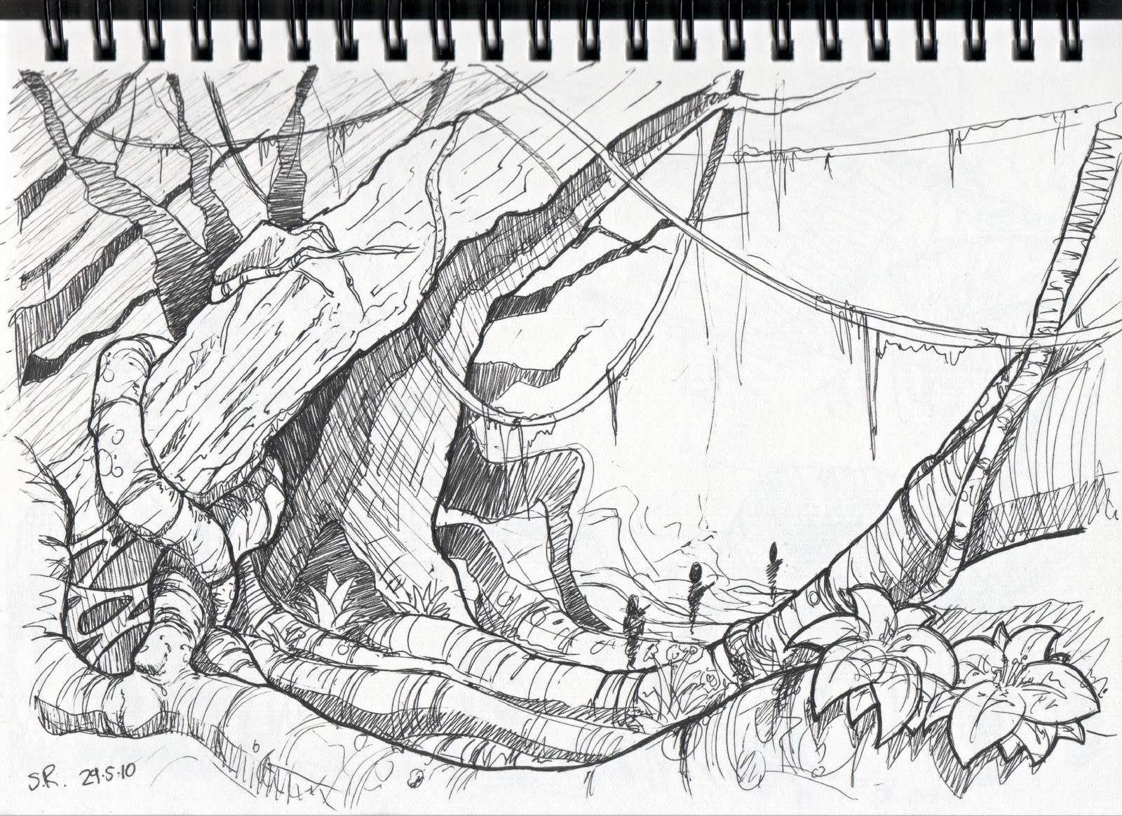 Sketch Of Jungle