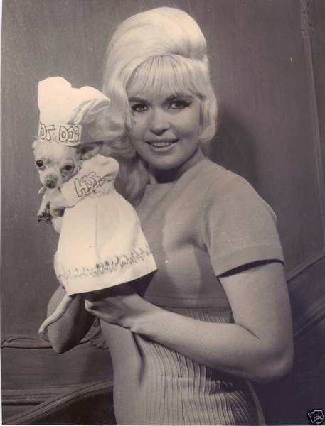 The Hair Hall Of Fame Jayne Mansfield