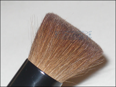 Essence+of+Beauty+Blender+Brush+5 Essence+of+Beauty+Blender+Brush+5