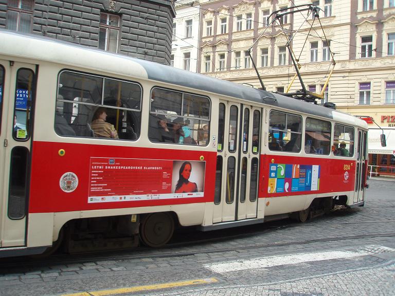 [P4201698fotito.JPG]