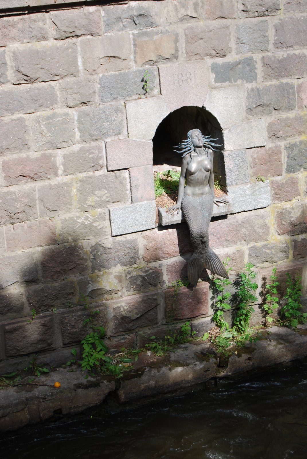 [DSC_2466.JPG]
