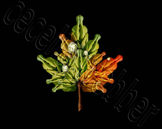 flores