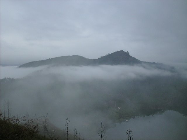 [IMG_0096.JPG]