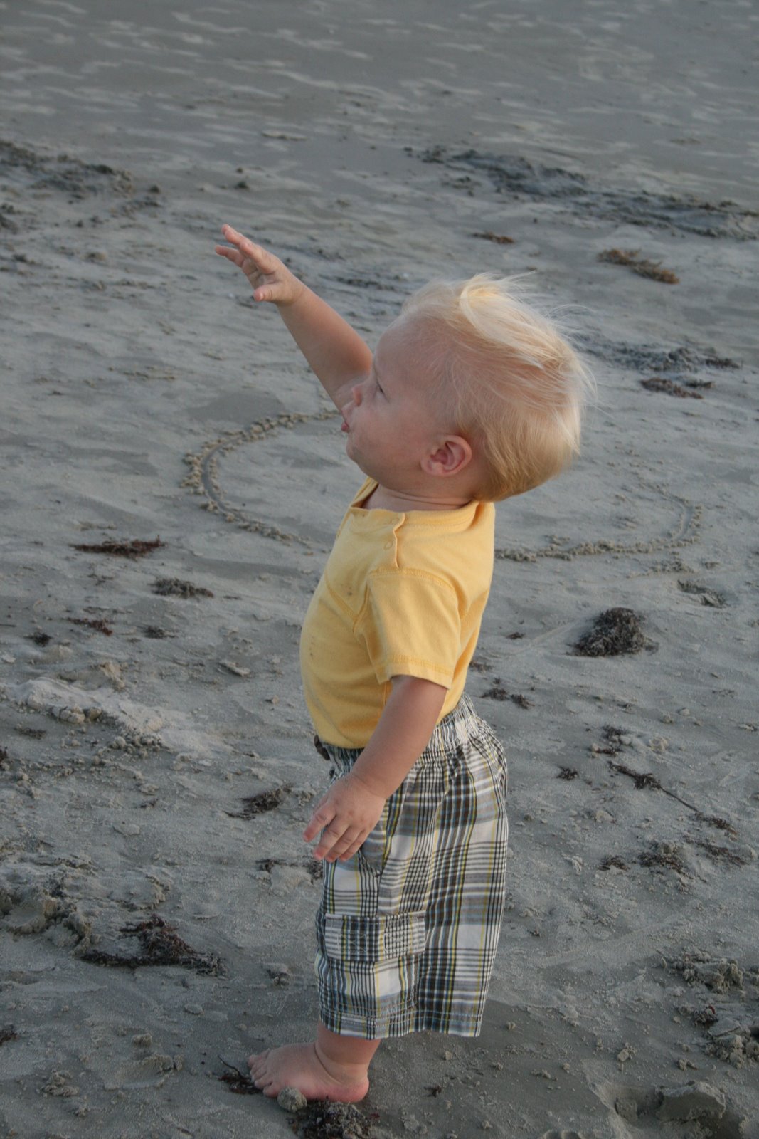 [IMG_0915rotate.jpg]