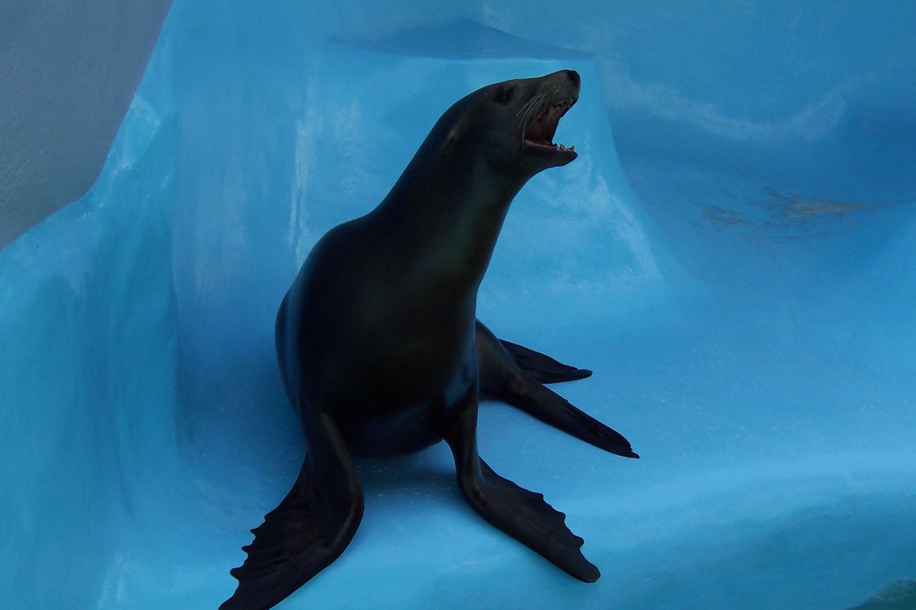 [100_3671resize.jpg]