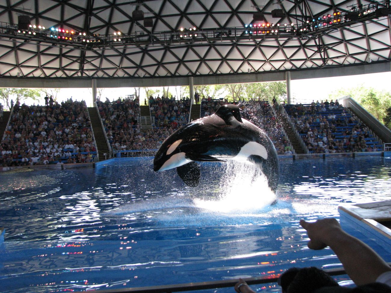 [IMG_6360resize.jpg]