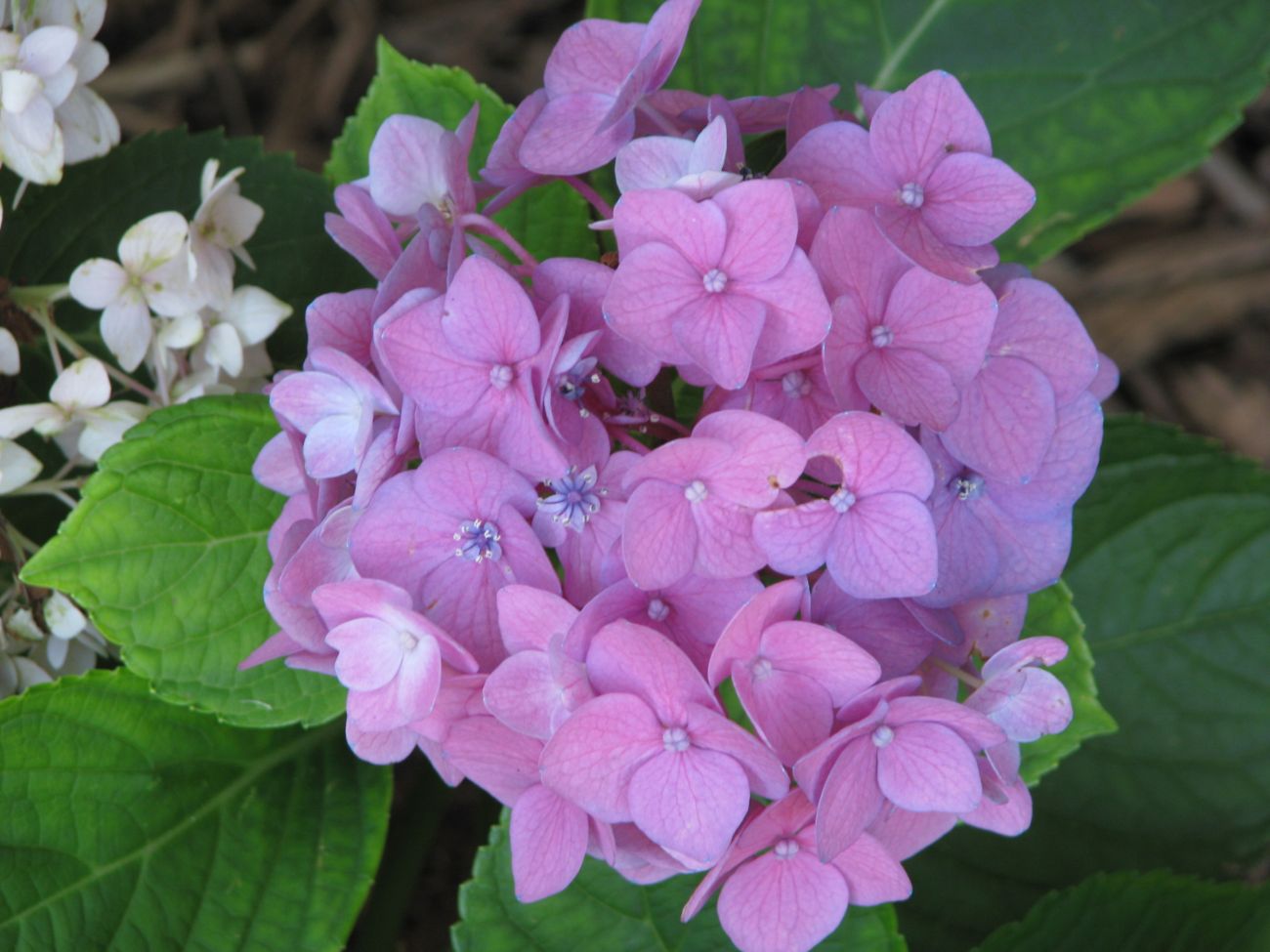 [IMG_6455resize.jpg]