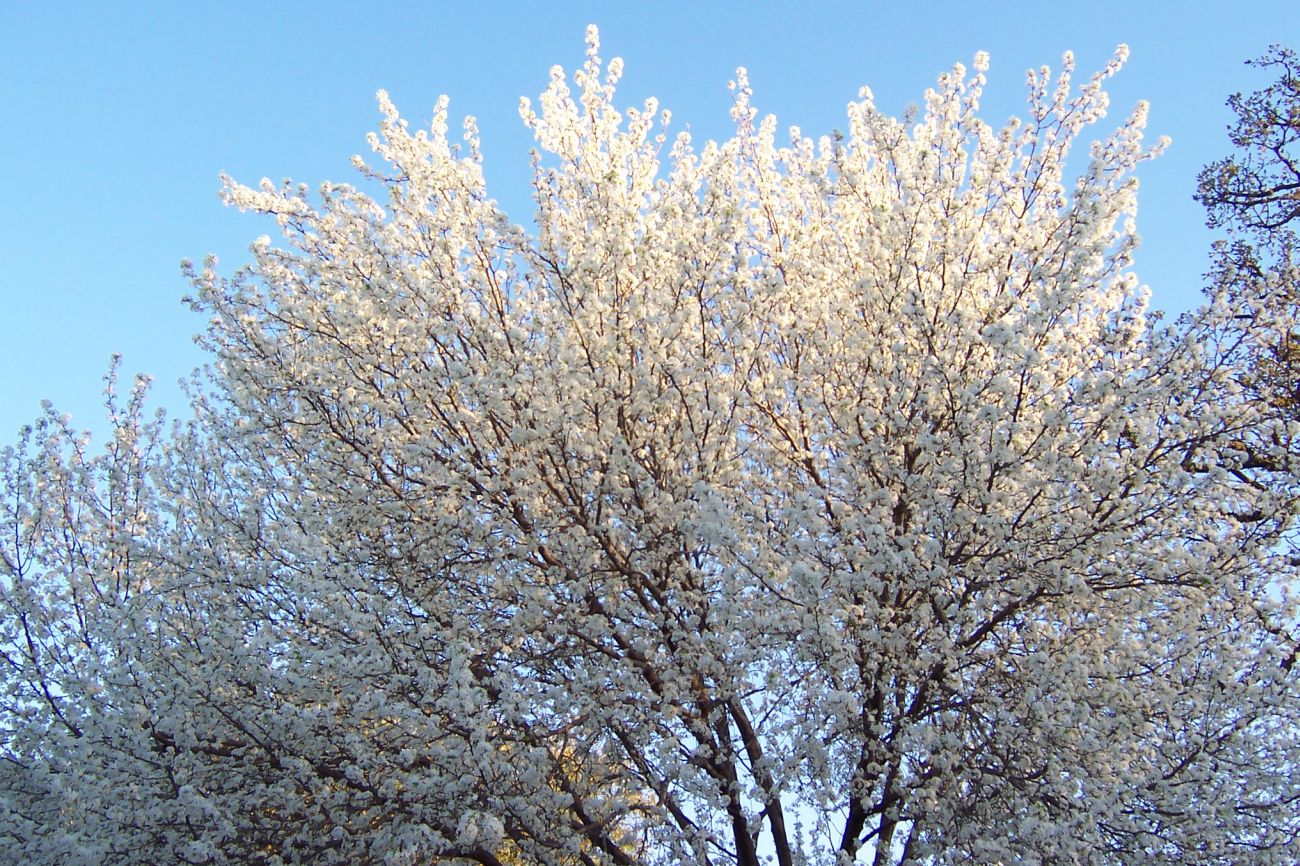 [100_4108resize.jpg]