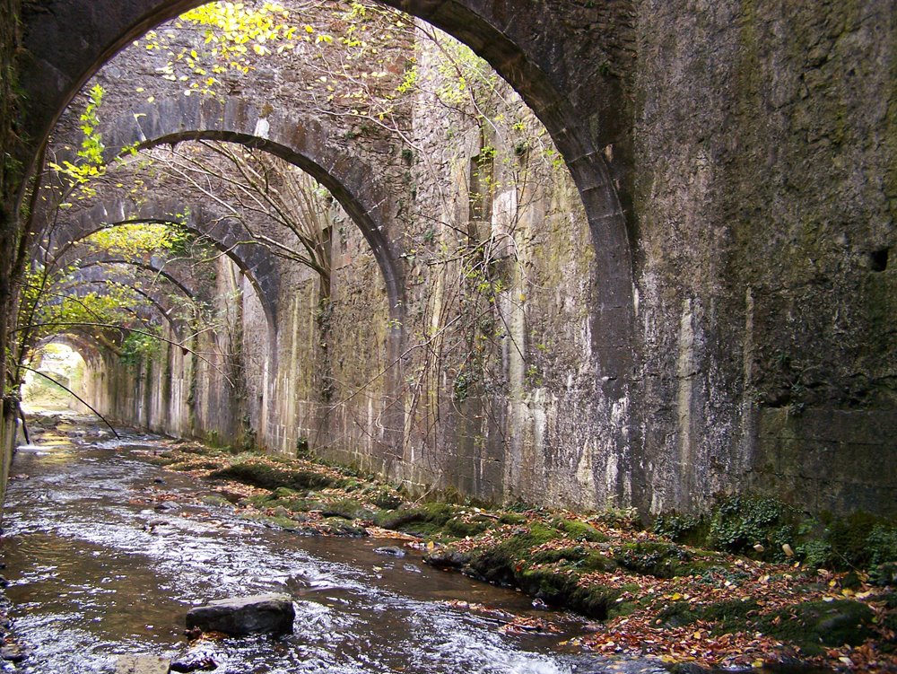 [Selva+de+Irati+085.jpg]