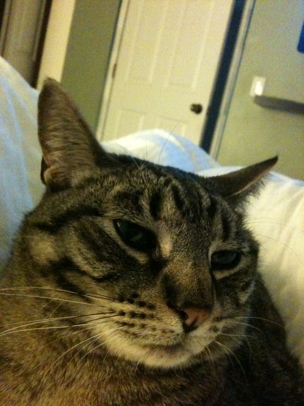 [breakfastbed]