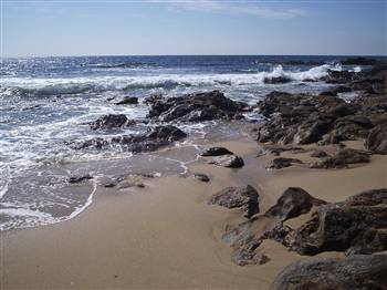 [resized_41.+Labruge-2008.jpg]