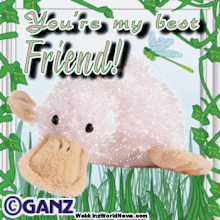 my favorite webkinz with my favorte color