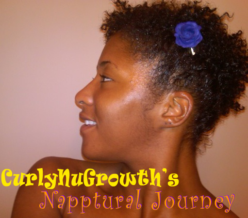 Controversy & Education of Natural Hair I am back from Paris, yay! Controversy & Education of Natural Hair I am back from Paris, yay!