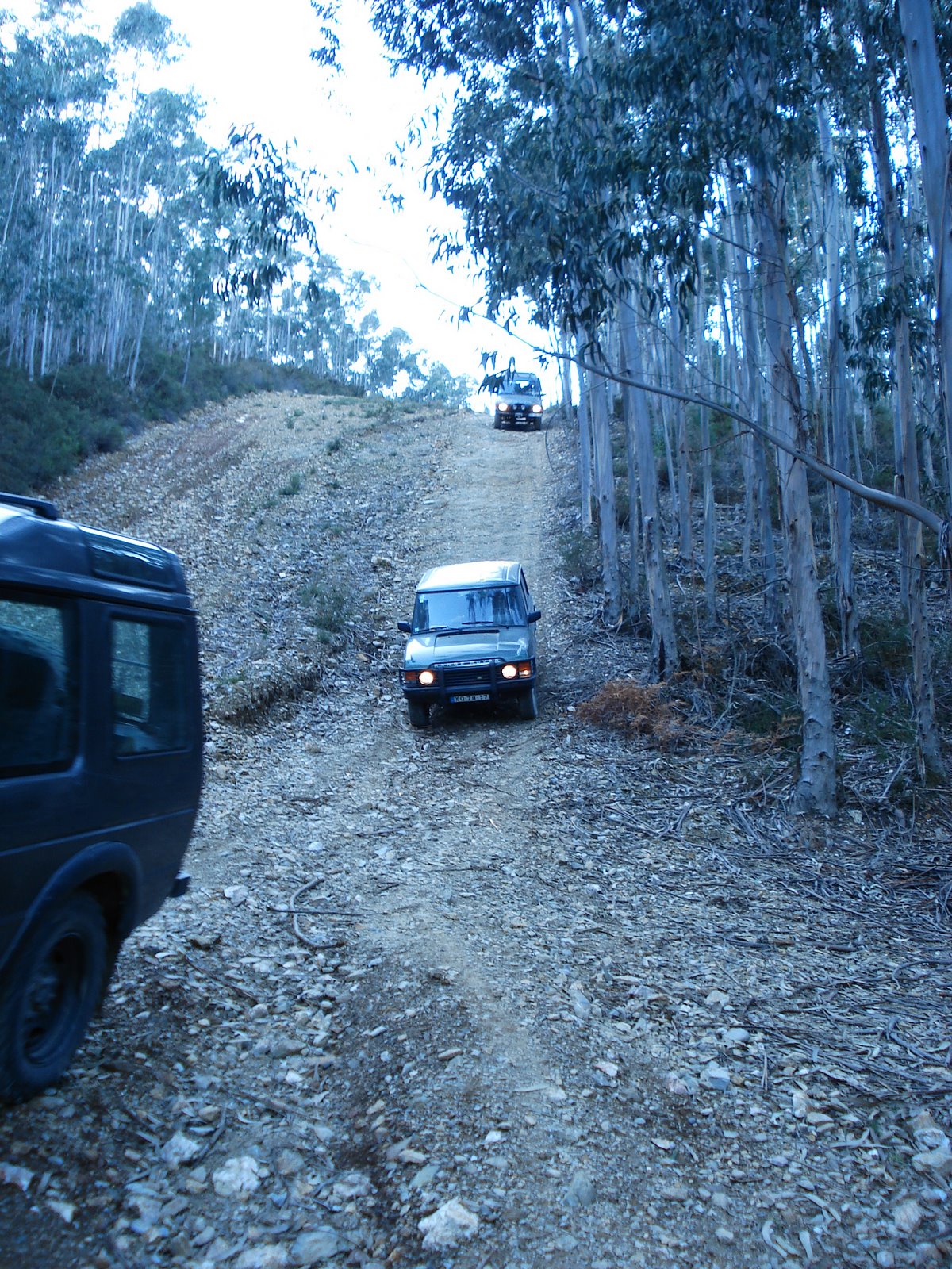 [DSC00474.JPG]