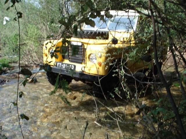 [DSC01274.JPG]