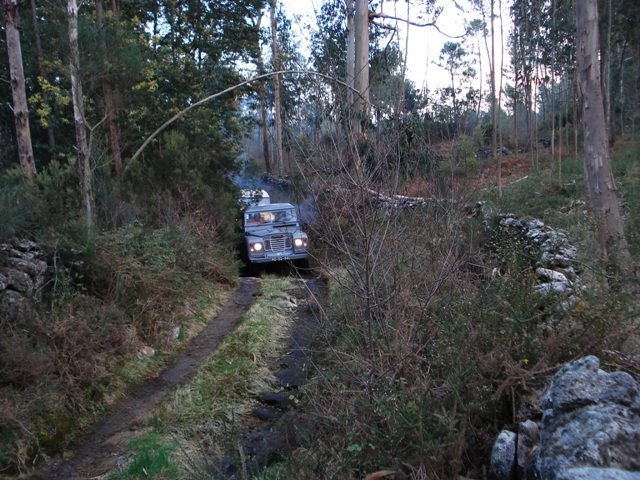 [DSC01421.JPG]