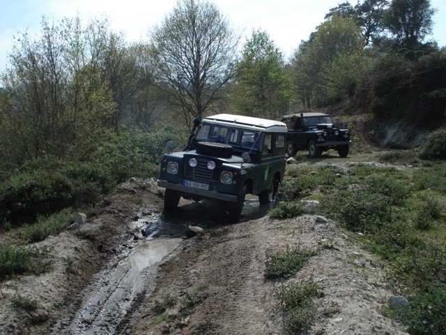 [DSC01320.JPG]