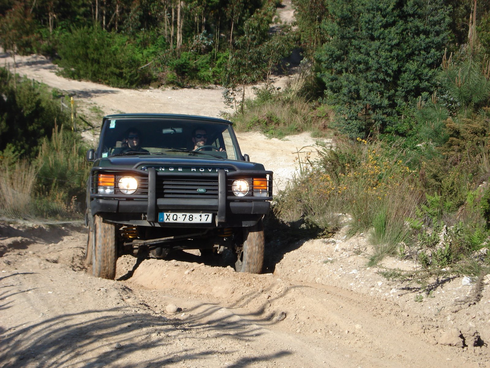 [DSC02524.JPG]