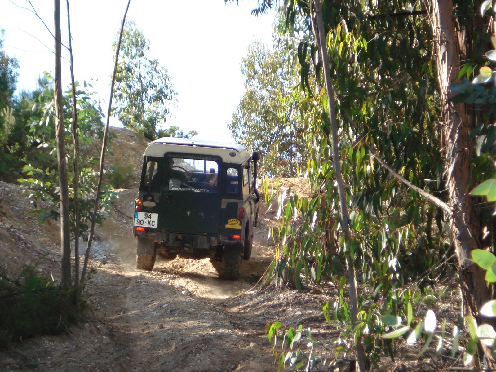 [DSC02534.JPG]