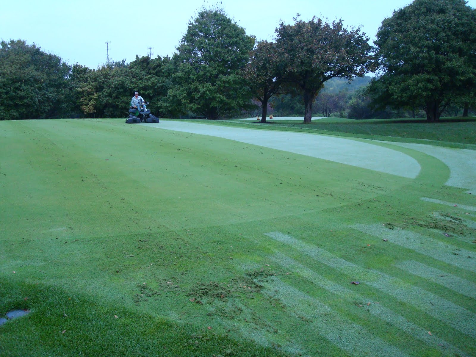 Verticut Greens Wednesday Naperville Country Club Green Department