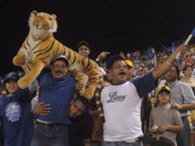 Tigres del Licey pasan a la semifinal en pelota dominicana