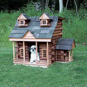 House on Luxury Dog House