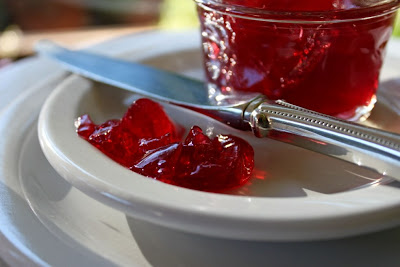 Pomegranate Champagne Jelly | Hitchhiking to Heaven