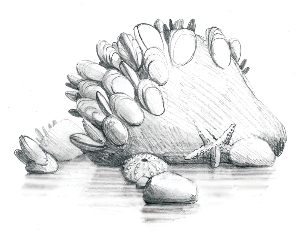 [mussels.png]