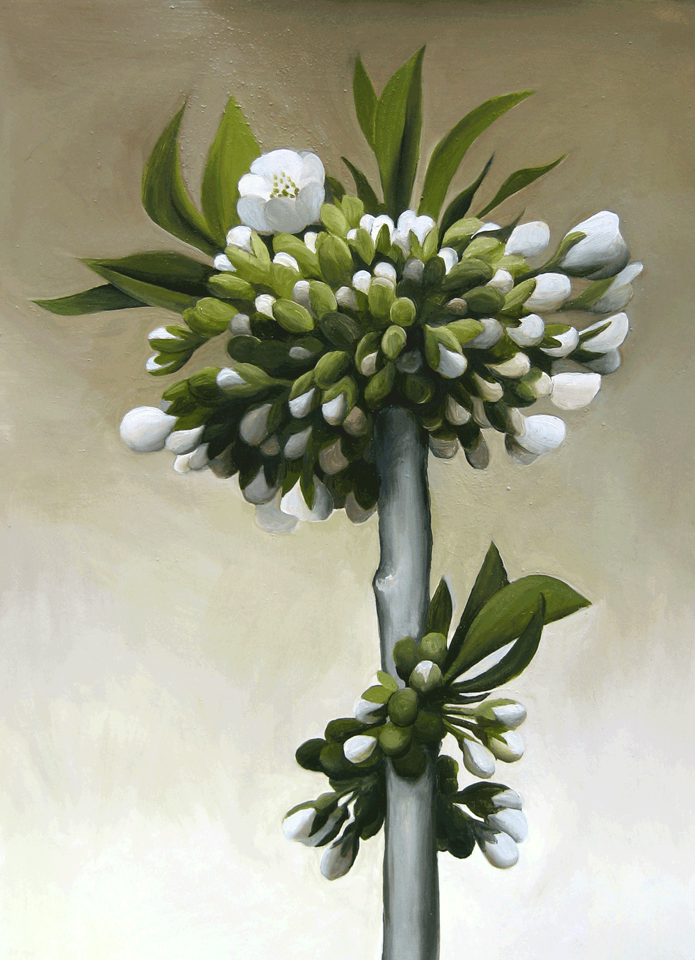 [rainier-blossom-oil-on-pape.png]