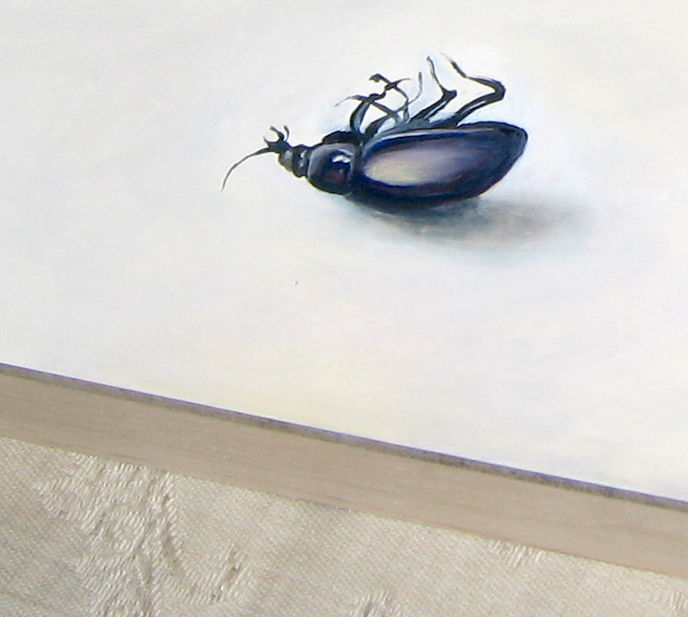 [beetle8.jpg]