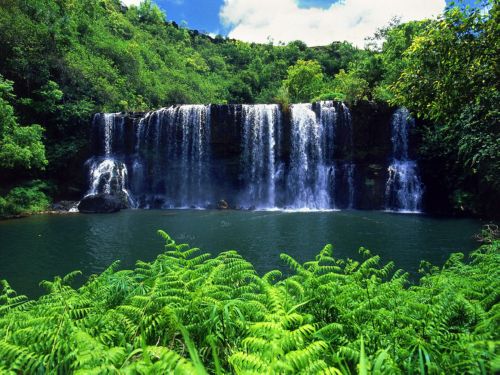 free wallpapers nature. free wallpapers for desktop nature. free wallpapers nature.