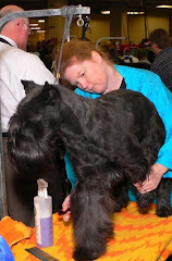 WESTMINSTER: America's Greatest Dog Show