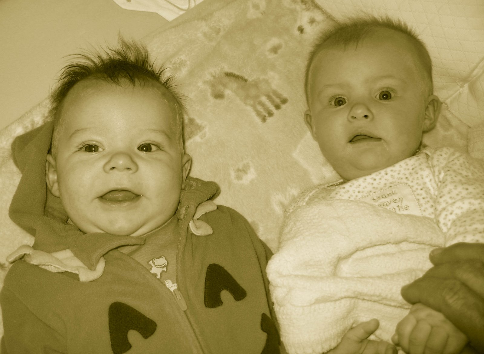 [October+30-+2008+025.jpg]